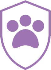 5 formule per proteggerlo